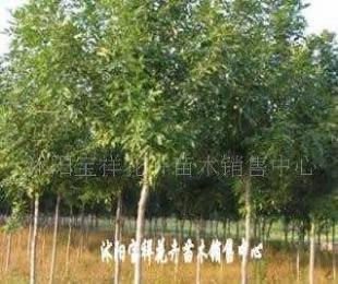 供應(yīng)電線電纜填充用高檔麻線_紡織、皮革_世界工廠網(wǎng)中國(guó)產(chǎn)品信息庫