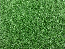 郴州市蘇仙區(qū)湘綠草皮苗木基地產(chǎn)品展示