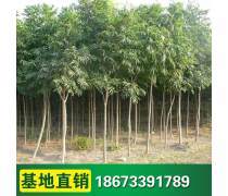 【豪杰紅木紅木荷花鎮(zhèn)紙筆筒筆洗三件套紅木商務禮品紅木筆筒筆洗鎮(zhèn)紙】海門市豪祥紅木工藝品廠 - 產(chǎn)品庫